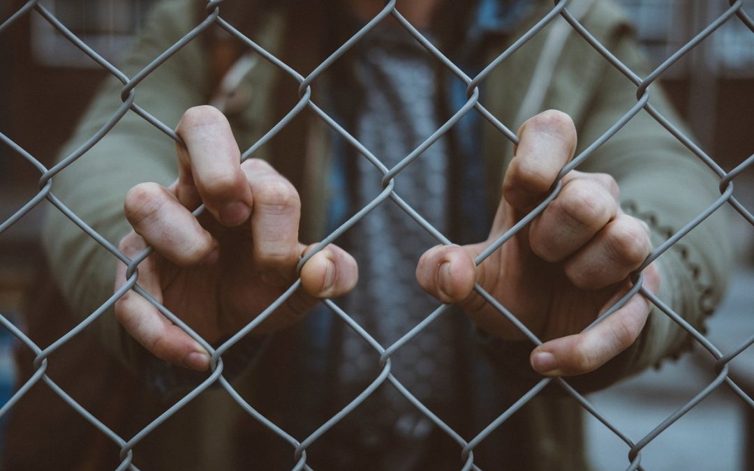 La humanidad antes que la política