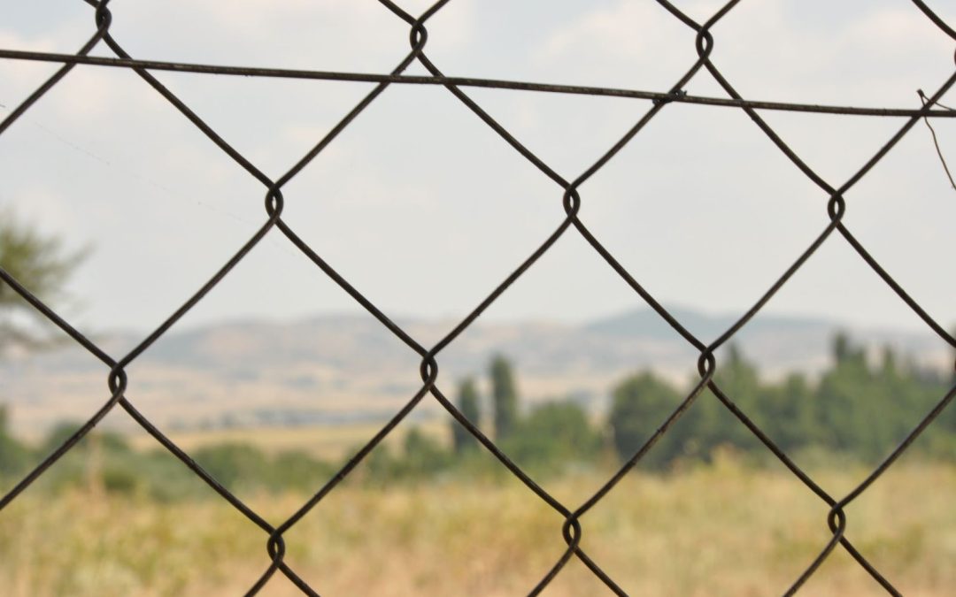 Ola de calor en Grecia: ¿Cómo se las arregla la gente en el campamento de Nea Kavala?
